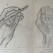 Hands by hoopydoo