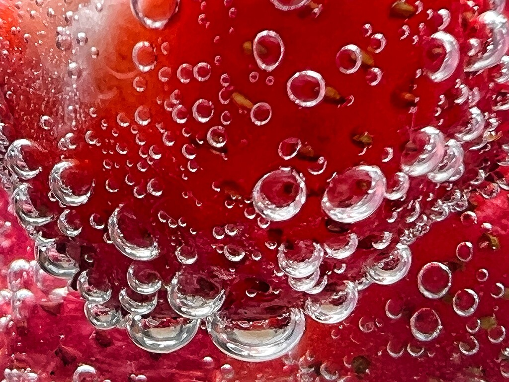 Strawberries in gin  by gaillambert