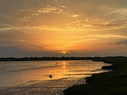 23rd Jul 2022 - Sunset along the Ashley River at low tide