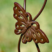 Iron butterfly by larrysphotos