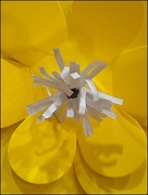 23rd Jul 2022 - Paper Flower Macro