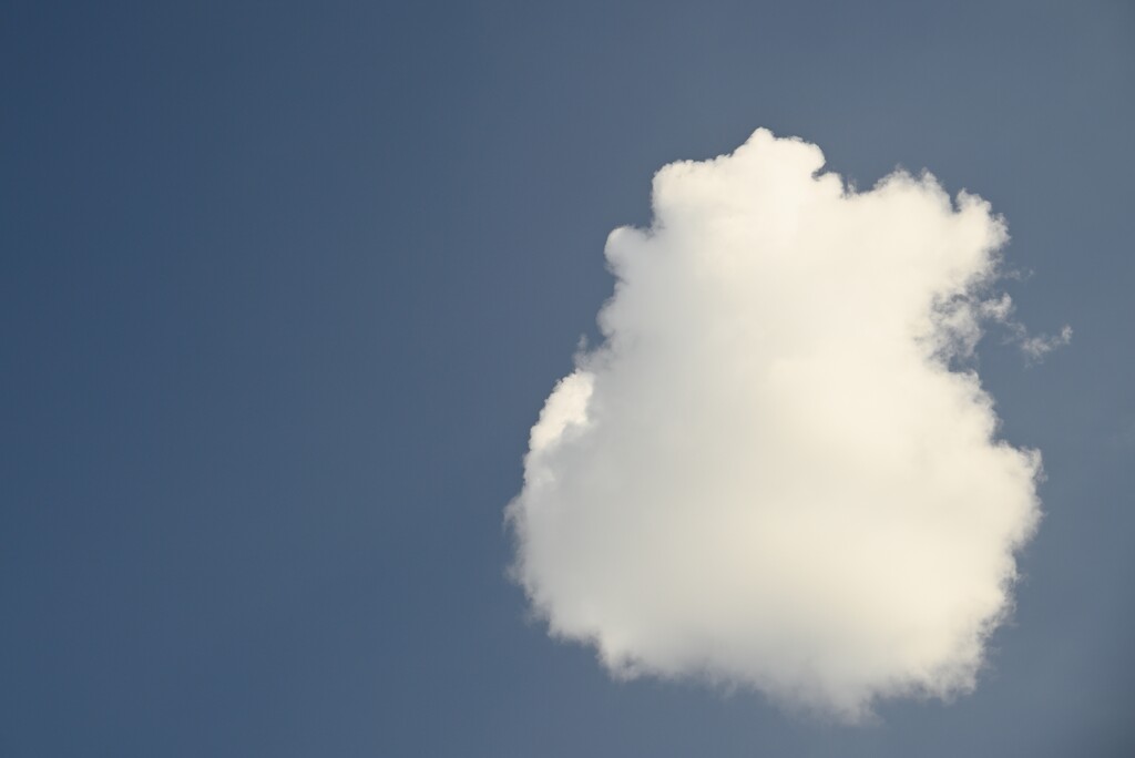 A fluffy cloud by metzpah