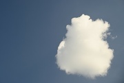 23rd Jul 2022 - A fluffy cloud