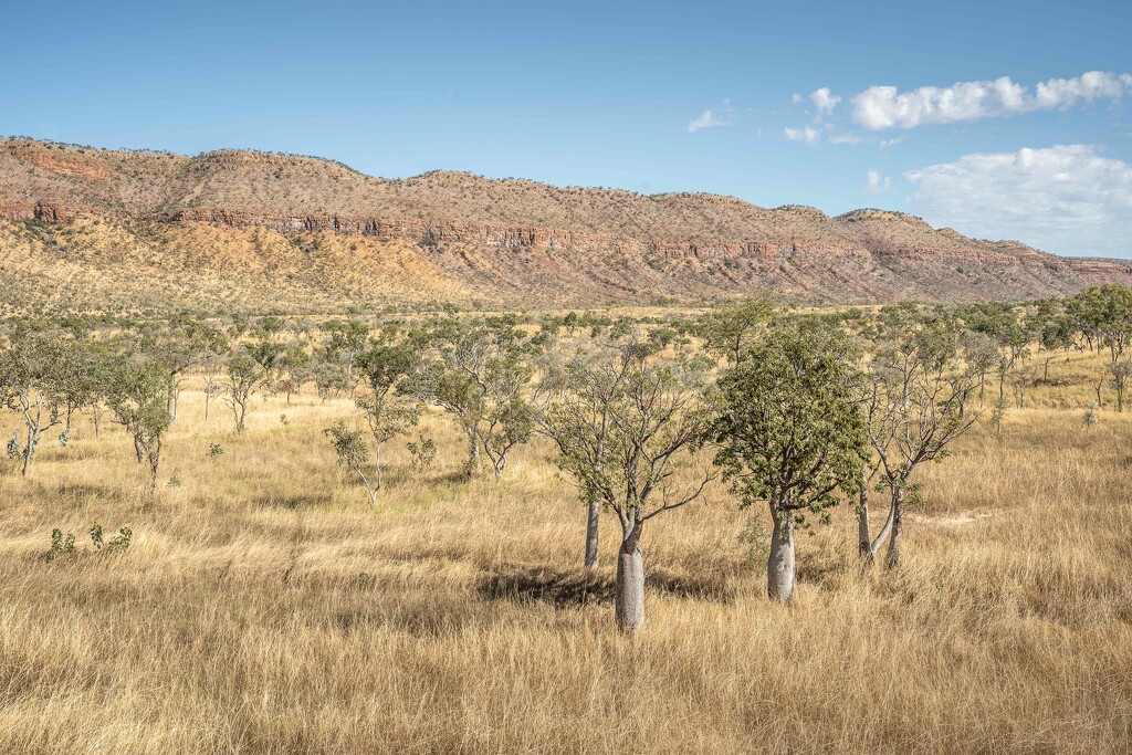 Kimberley ranges by pusspup