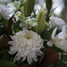 Bouquet by dkbarnett