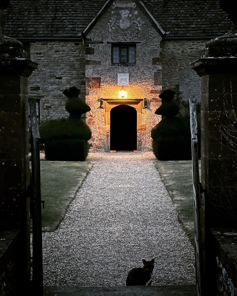 The Cat at the Manor by gaillambert
