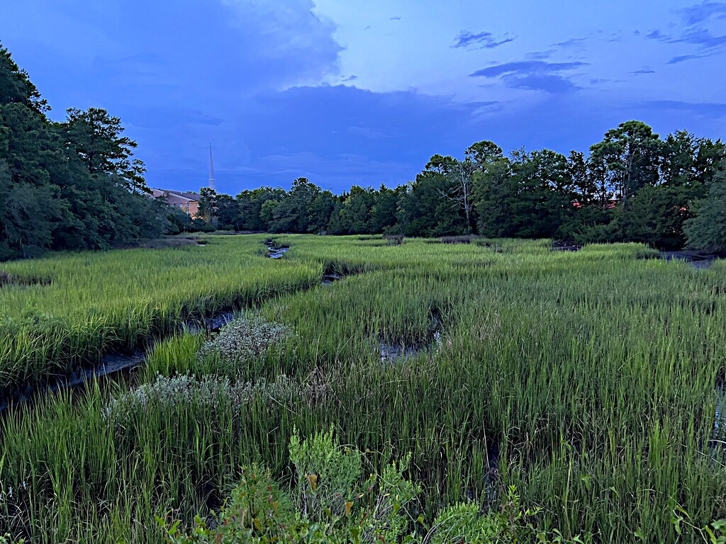Blue hour over the marsh by congaree