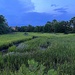 Blue hour over the marsh by congaree