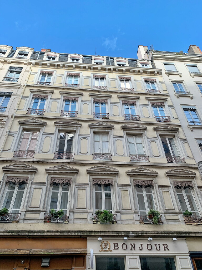 Windows with hearts in Lyon.  by cocobella