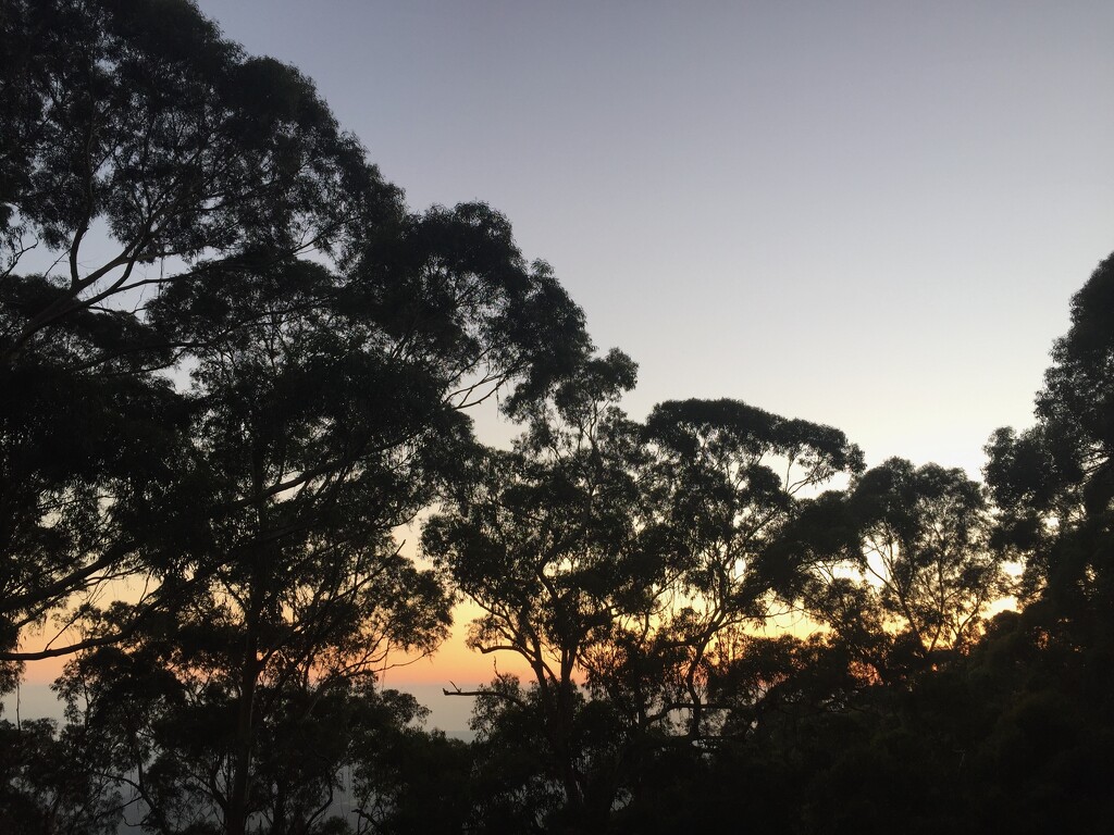 Sunrise over the Escarpment by galactica
