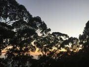 5th Jul 2022 - Sunrise over the Escarpment