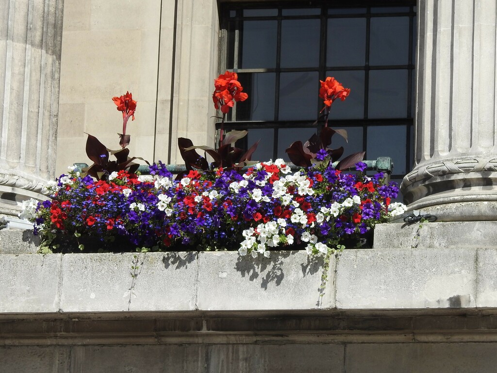 Town Hall Flowers by oldjosh