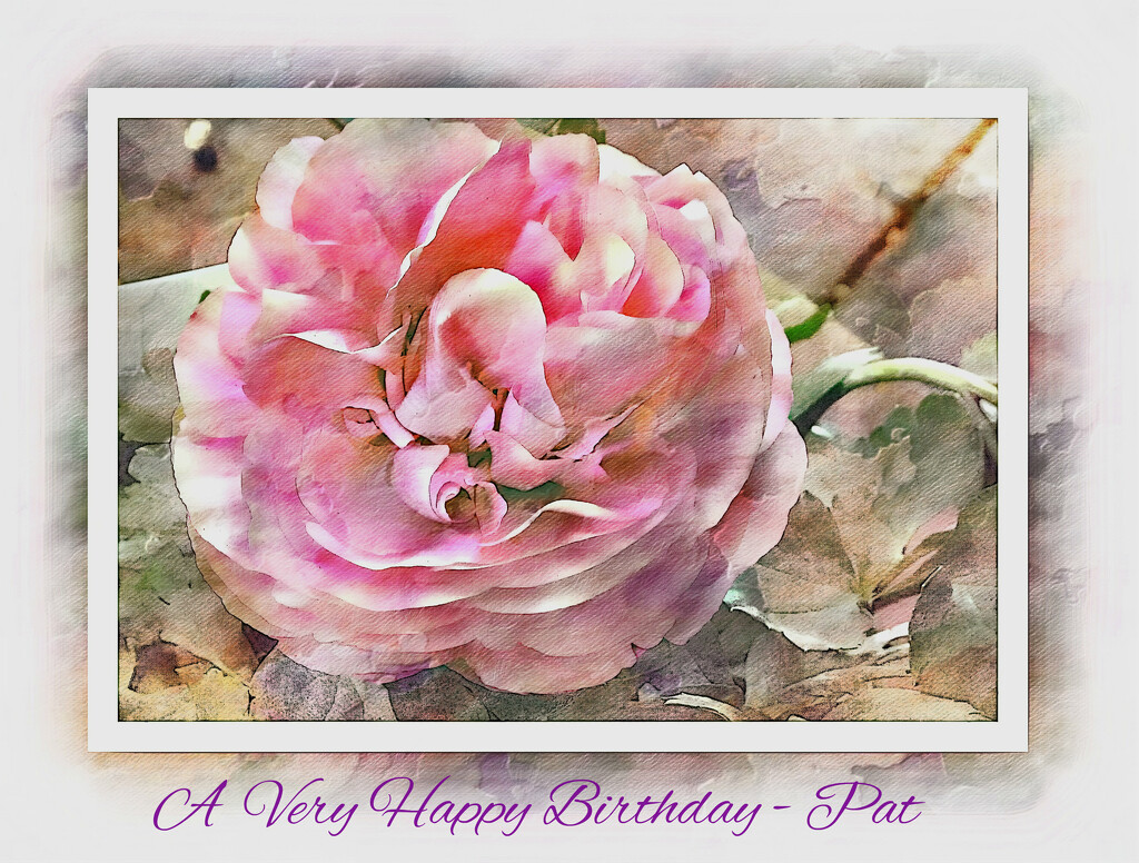 Happy Birthday Pat , on your special day xx by beryl