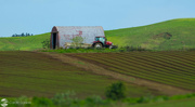 27th Jul 2022 - Crops Planted