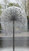 26th Jul 2022 - Dandelion Fountain