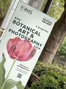 27th Jul 2022 - Botanical - 27