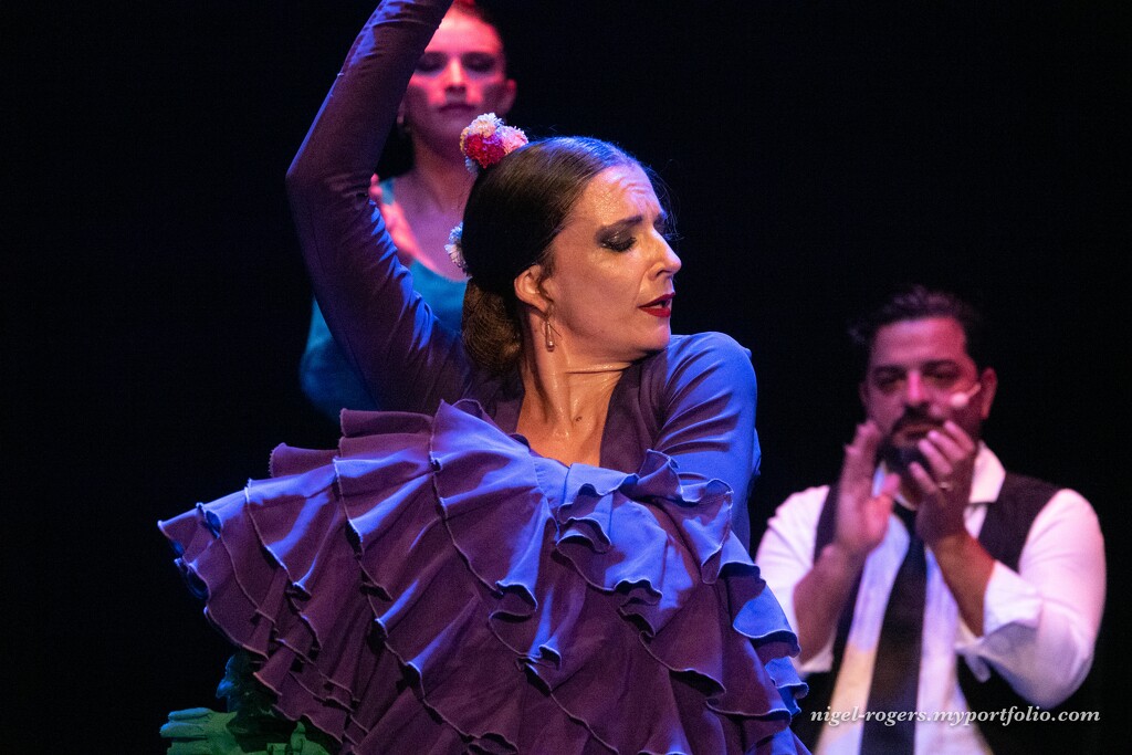 The passion of Flamenco by nigelrogers