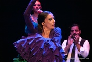 25th Jul 2022 - The passion of Flamenco