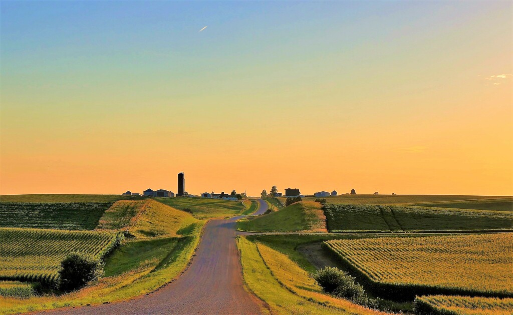 Iowa Farmland by lynnz