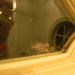 Frog in Window by sfeldphotos