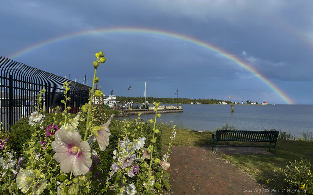 Rainbows and Flowers: Some Beaver island Magic by taffy