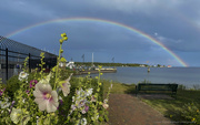 27th Jul 2022 - Rainbows and Flowers: Some Beaver island Magic