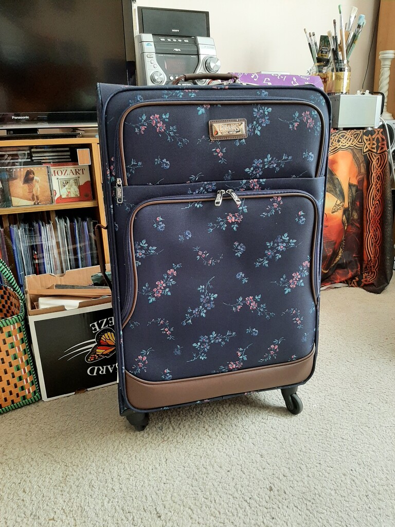 New Luggage  by mozette