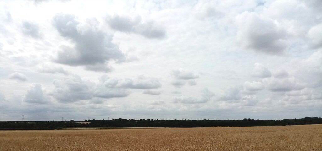 East Anglian Skies  by g3xbm