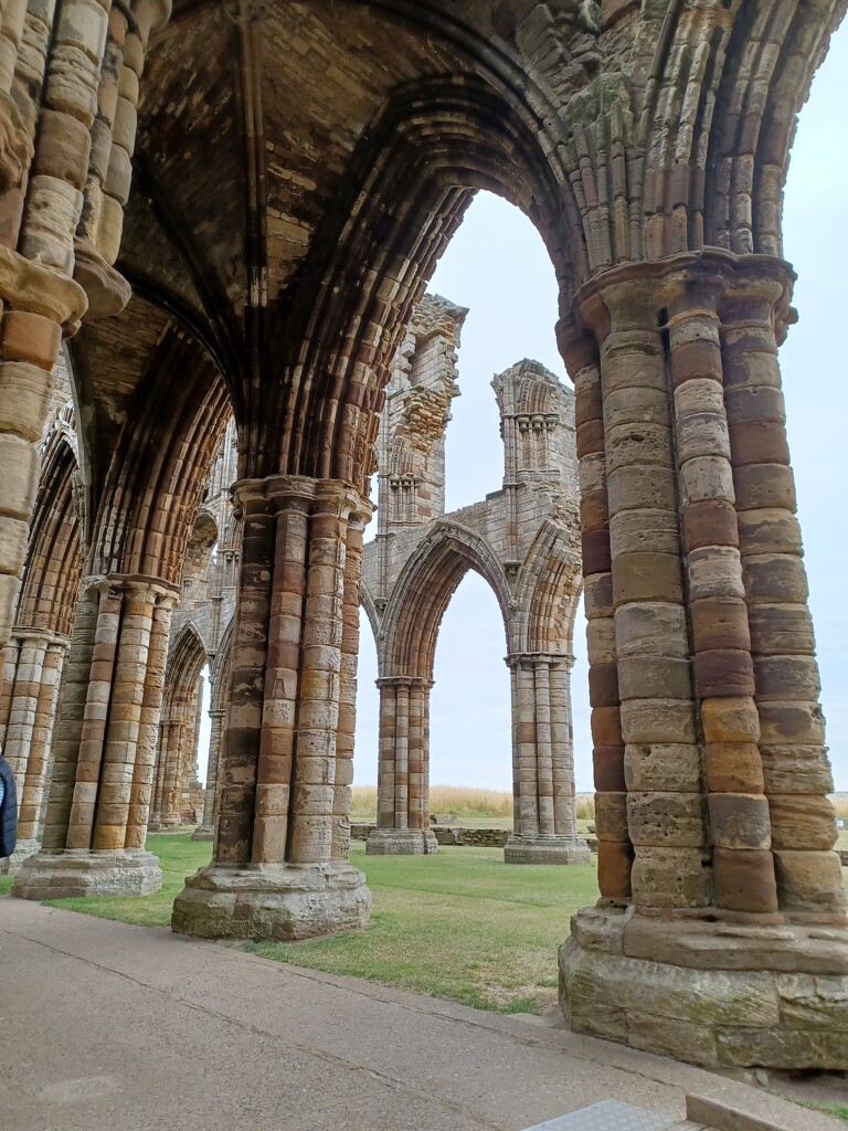 Whitby Abbey  by busylady
