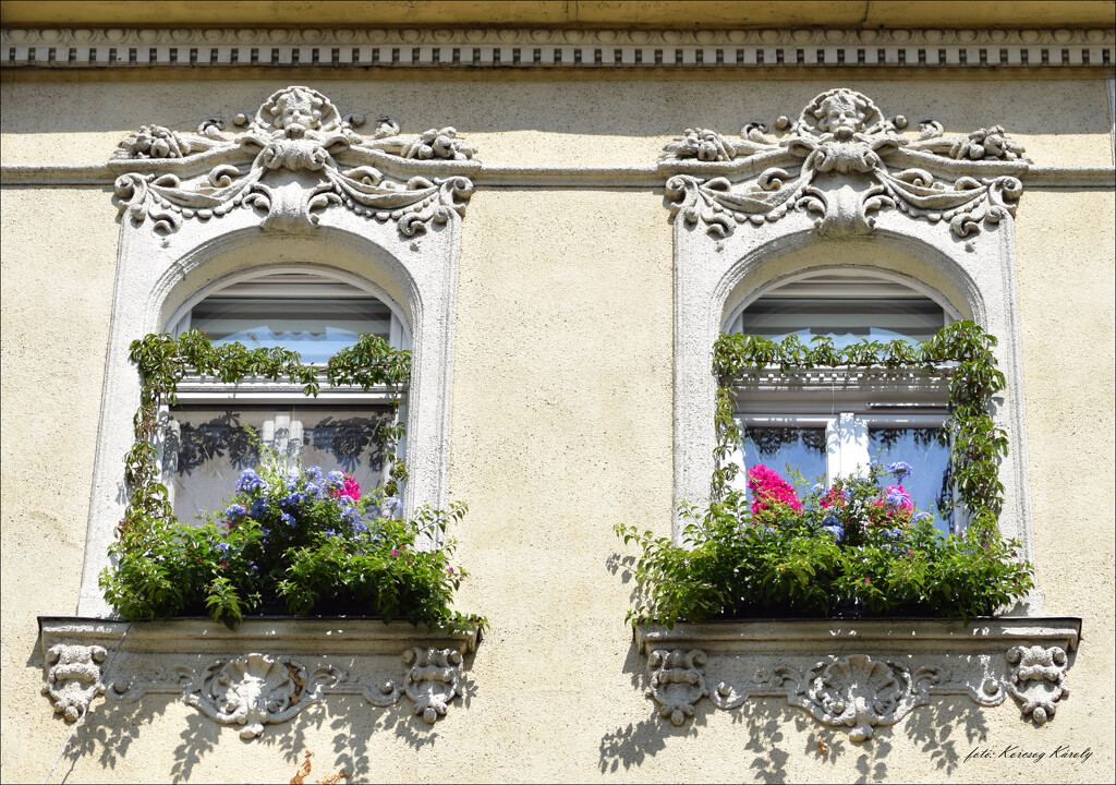 Floral windows by kork