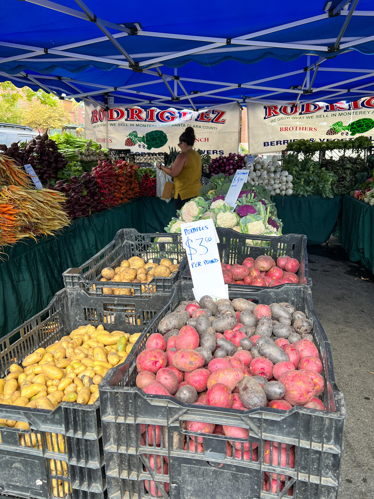 Vegetables too by shutterbug49