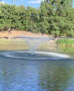 28th Jul 2022 - Holland Lake Fountain