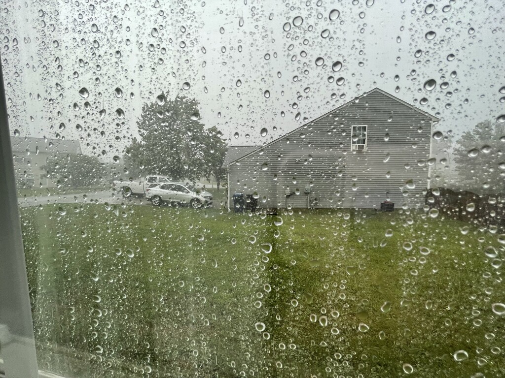 Sudden rain shower by homeschoolmom