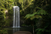 15th Jul 2022 - Millaa Millaa Falls