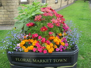 29th Jul 2022 - Floral Market town planter. Rishton.