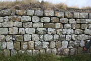 24th Jul 2022 - Hadrians Wall 1