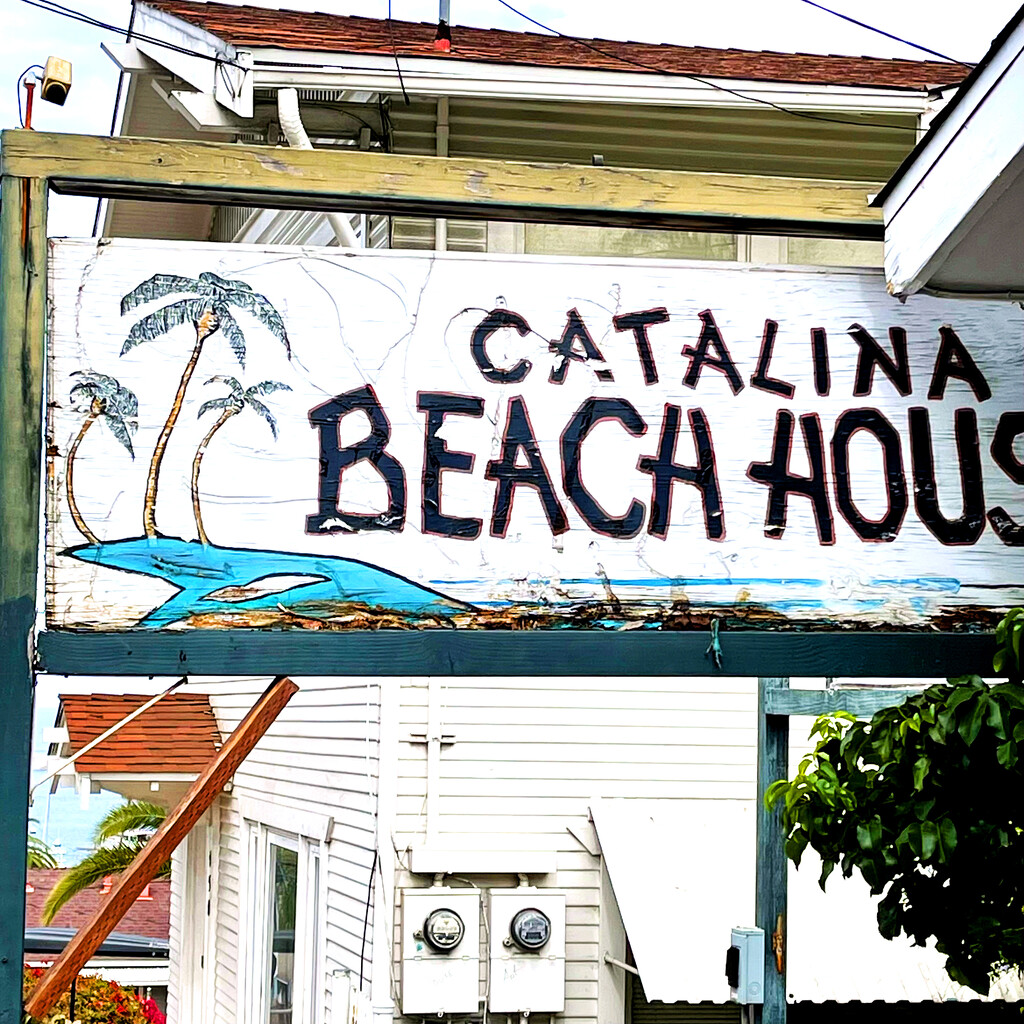 The Catalina Beach House by yogiw