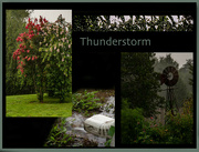 29th Jul 2022 - Thunderstorm