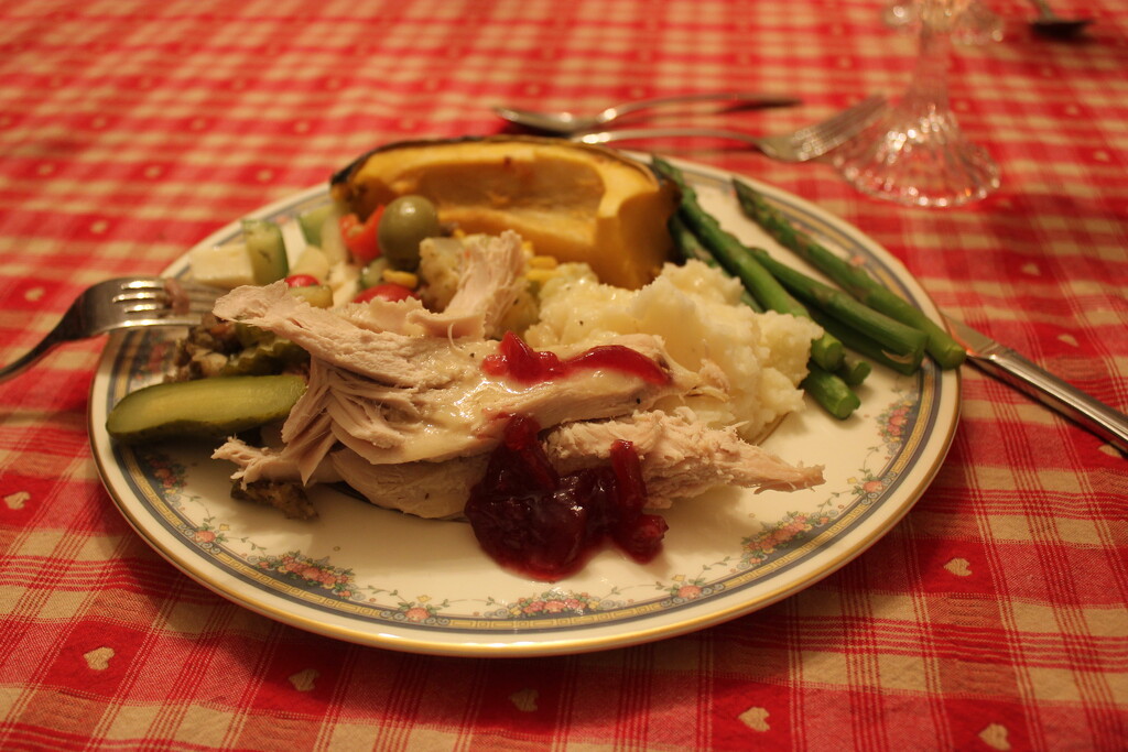 Dishes #7: Full of Thanksgiving Dinner by spanishliz