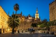 28th Jul 2022 - Last Night in Seville