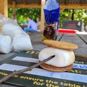 29th Jul 2022 - Gimme s'more!