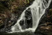 20th Jul 2022 - Dinner Falls, Atherton Tableland