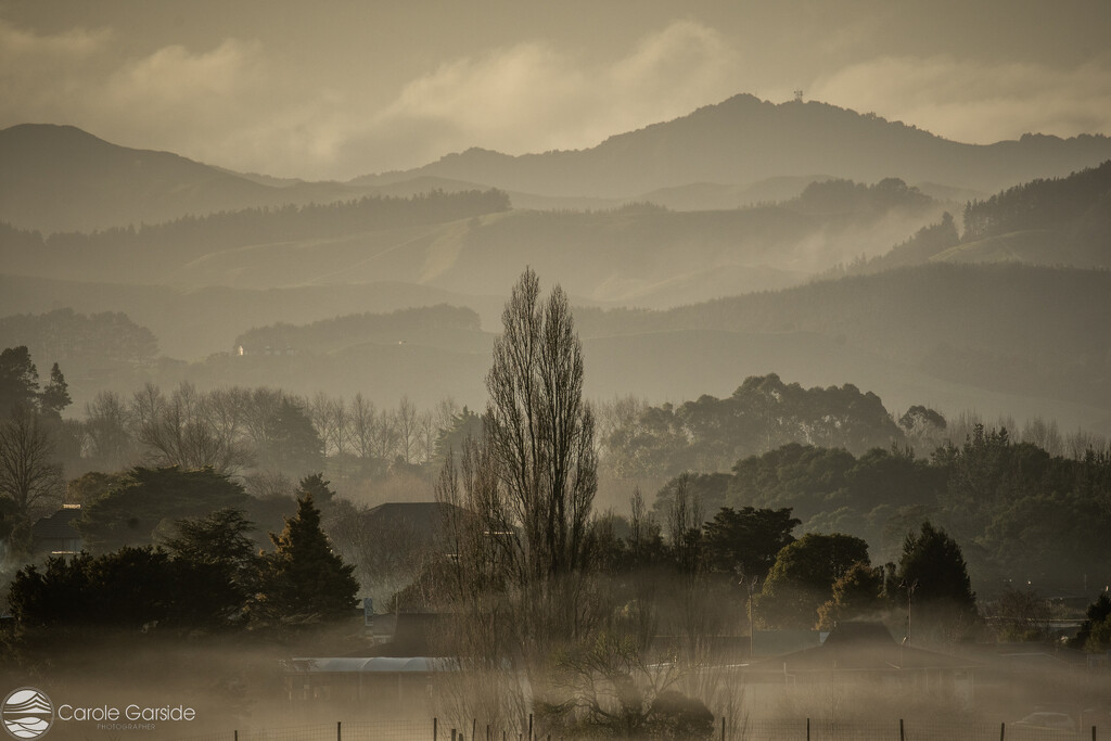 Wintery Misty Layers by yorkshirekiwi