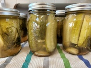 30th Jul 2022 - Time to make the pickles