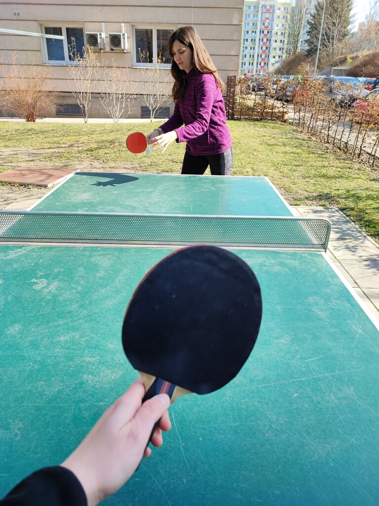 Ping pong by nami
