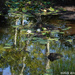 Messerschmidt's Pond by falcon11