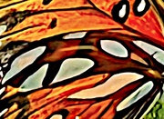 30th Jul 2022 - Butterfly abstract art — Closeup of a Gulf fritillary wing 