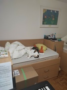 24th Jun 2022 - Trying to prepare the bed for the catsitter