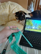 16th Jul 2022 - Learning how to crochet