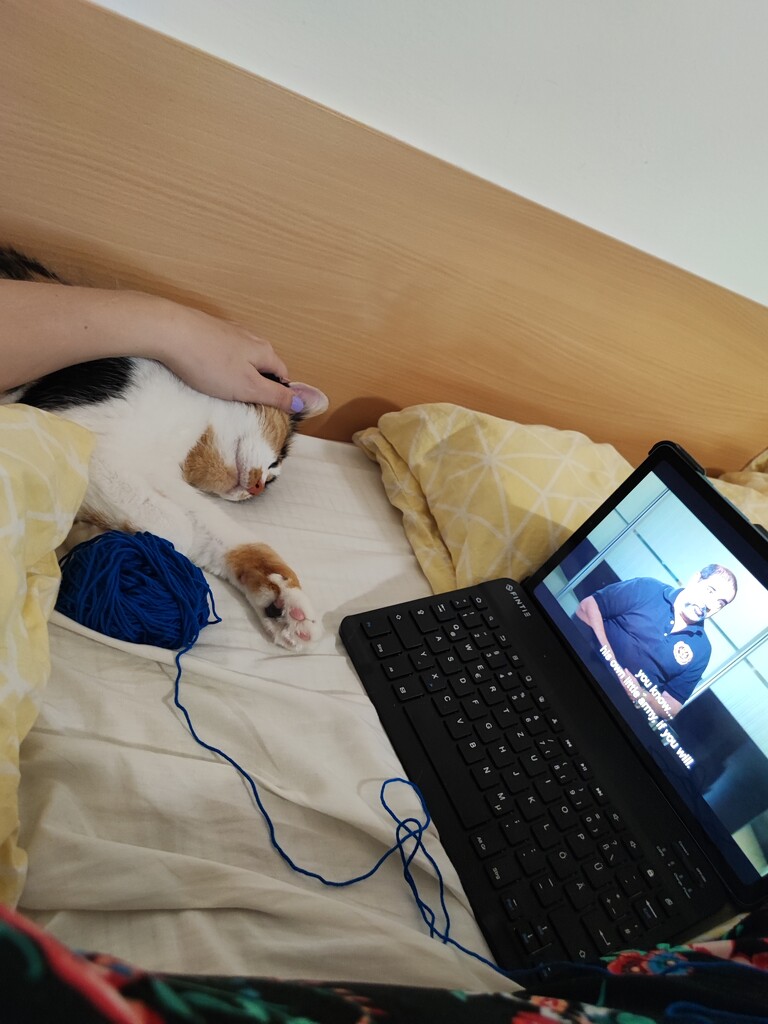 Crochet + netflix + petting cat by nami